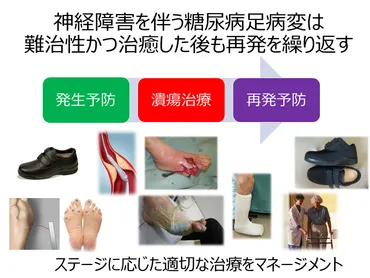糖尿病足病変の3つの治療期について