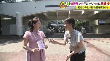 新人アナがさまざまなミッションに挑戦!種の動物たちに会える「とべ動物園」の魅力に迫る【愛媛発】