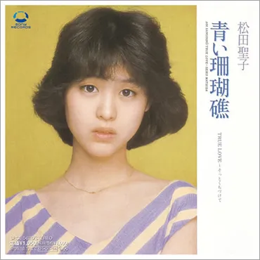 小貫信昭の名曲!言葉の魔法:第回松田聖子