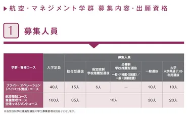 桜美林大学パイロット養成コース就職率ソコソコ?【が香るパイロット】になろう!