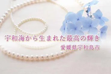 真珠の名産地《愛媛県宇和島市》で注目したい種類の返礼品