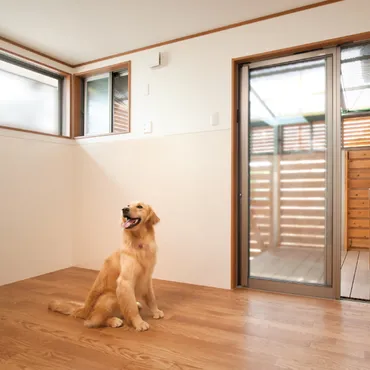 犬と暮らす家のアイデア集選【豊富な事例で紹介】