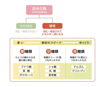ラムネは太る？ブドウ糖や食べ過ぎがもたらす影響を徹底解説！–