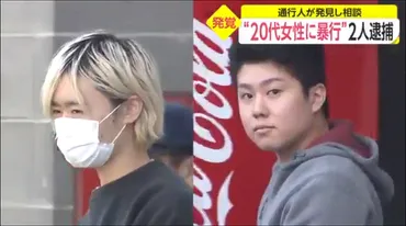 ミスター慶応?渡辺陽太また逮捕!回目だが又、示談で不起訴処分?父親らの職業は?