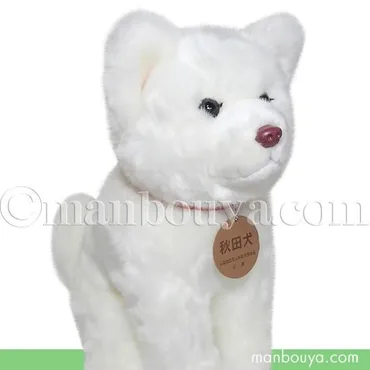 秋田犬ぬいぐるみ白毛保存会キュート販売座りホワイトピンク鼻サイズまんぼう屋ドットコム