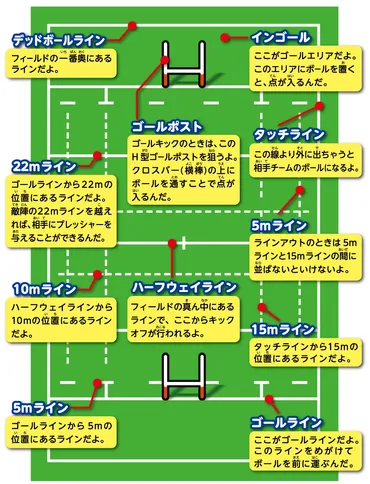 ラグビーのフィールド（グラウンド） – 教えて！ラガマルくん