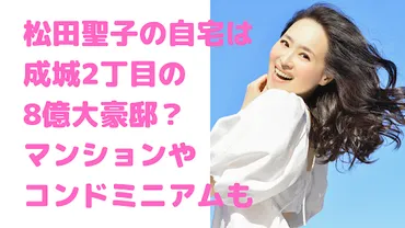 松田聖子の自宅住所は成城2丁目で5億円新居も！老舗デパートや間取り、コンドミニアムについても 