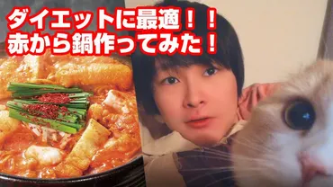 ノックチャンネルとYouTuber界に起きた事件とは？書類送検の真相とモラル問題？YouTuberノックチャンネルの事件と、法的責任、そして今後の課題。