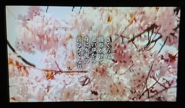 さくら花 幾春かけて 老いゆかん －身に水流の音響くなり：馬場あき子歌－: 水を掬う