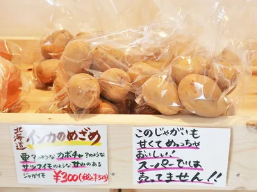 岡町桜塚商店街に「ポン太青果」っていう八百屋さんができてる/お店を運営する吉本の野菜芸人「土肥ポン太」さんに開店までの経緯を聞いてみた