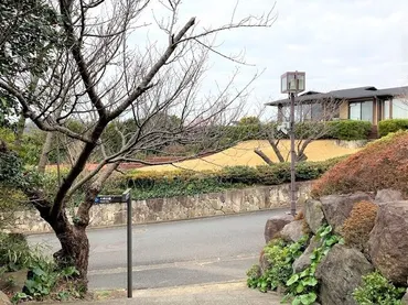 鎌倉、逗子マリーナを通って披露山へ 大崎公園までトレッキング 帰路、稲村ケ崎へ』鎌倉(神奈川県)の旅行記・ブログ by teniponさん【フォートラベル】