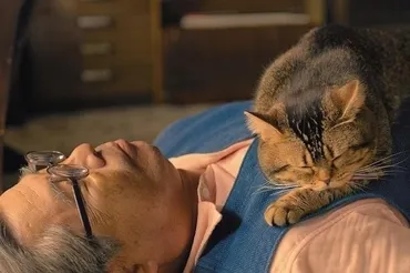 老人と猫の゛愛しい日常゛ 立川志の輔×柴咲コウ「ねことじいちゃん」特報披露 : 映画ニュース