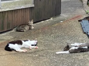 ガン生還者に学ぶ会