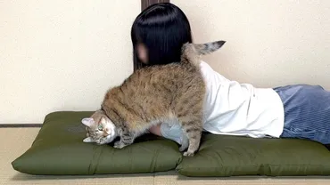 妹と「ふたりきりの時間」を過ごす愛猫を隠し撮り→甘えまくりで飼い主はジェラシー