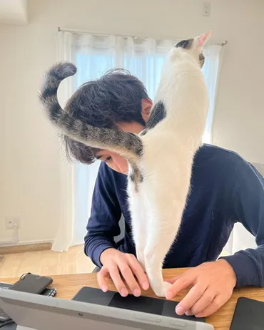 これぞ「猫飼いの在宅勤務の実態」 会議中でも「抱っこ!」→膝の上では満足できない甘えっぷりに共感続々