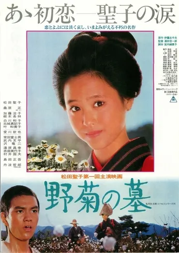 野菊の墓 : 作品情報・キャスト・あらすじ 