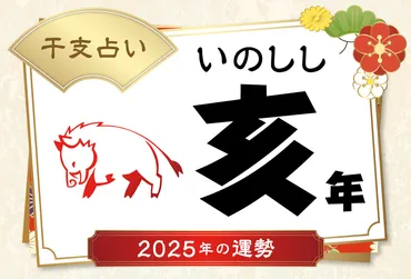 亥年(いのししどし)生まれの2025年(令和7年)の運勢【干支占い】
