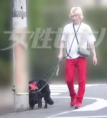 非日常な新婚生活》二階堂ふみ&カズレーザー、愛の巣は二階堂が2年前に購入した4億円豪邸 愛犬を散歩させるカズの姿も (1/2)