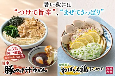 丸亀製麺】「旨辛 豚つけ汁」「ねばとろ鶏ぶっかけ」発売! ゛さっぱり゛な《冷たいうどん》2種登場
