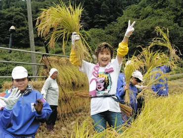 小林幸子、故郷・新潟県の山古志地域での米作り勇退 中越地震から20年…『小林幸子田』で゛最後゛の稲刈りイベント:中日スポーツ・東京中日スポーツ
