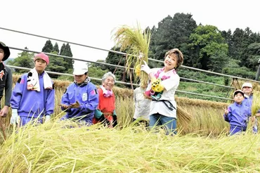 小林幸子さん、山古志で稲刈り 中越地震から交流「親戚に会うよう」 新潟県:朝日新聞
