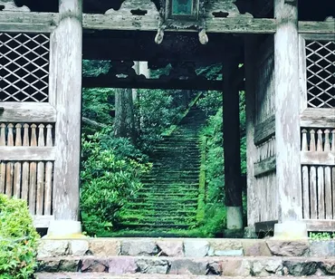 京都秘境】鴨川源流の苔むした霊場☆ジブリ映画『もののけ姫』モデル寺院「志明院」