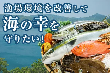 大分県の魅力発掘！ 海の幸、山の幸、観光スポットを徹底解説！大分県：佐伯市、宇佐市、中津市、日田市の魅力に迫る！