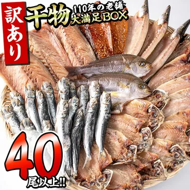 大分県佐伯市】ふるさと納税で体験!海・山・里が揃った自然豊かな地域