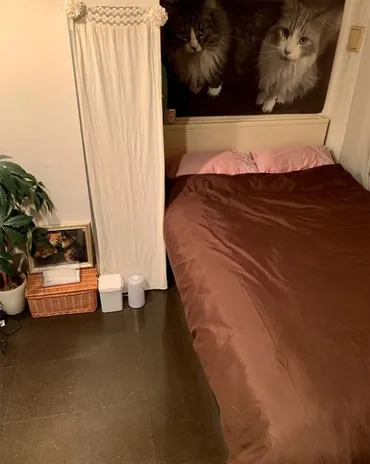 写真】《寝室はリビングの奥に…》遠野なぎこが明かしていた「ソファでしか寝られない」「愛猫のためにカーテンを開ける生活」…関係者が明かした救急隊突入時の゛ 愁くんの様子゛