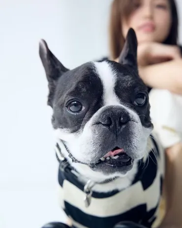 ずっとずっと大好きだよ」川口春奈〝旅立った私の天使〟愛犬との思い出ショットに反響続々「最高のバディはいつまでも永遠」「お空から見守ってあげてね」：「おっ！」でつながる地元密着のスポーツ応援メディア  西スポWEB OTTO!