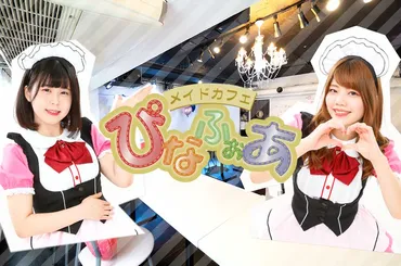 ぴなふぉあ【メイドカフェ超解説！】│サブカる！