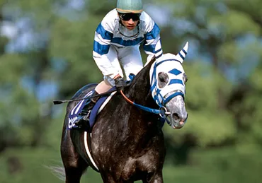 未来に語り継ぎたい名馬 JRAレーシングビュアー