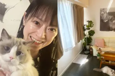 遠野なぎこ宅で遺体発見》゛特殊清掃のリアル゛を専門家が明かす  自宅はエアコンがついておらず、昼間は40℃近くに…「熱中症で死亡した場合は大変です」