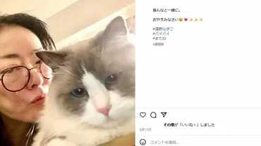 飼い主の死後に起こる残酷で悲しい現実。遠野なぎこさん愛猫「愁くん」無事保護も…突きつけられた一人暮らしとペットの「もしも」の問題とは 