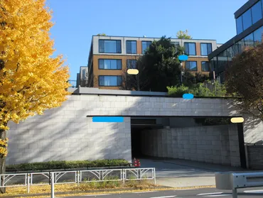 藤原紀香と片岡愛之助夫婦の舞台裏！美の秘訣や共演作での関係性とは？藤原紀香と片岡愛之助が魅せる夫婦の絆と美の秘密