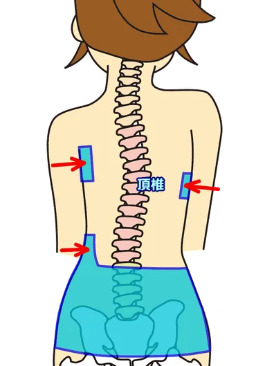 第52回理学療法士国家試験解説PM
