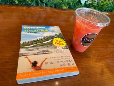 渡辺裕美さん著「絶景温泉ひとり旅そろそろソロ秘湯」をレビュー！ 