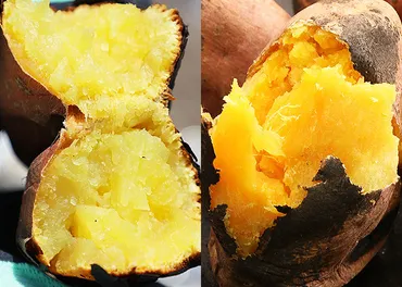 安納芋とシルクスイートの違いとは?ねっとり系さつまいもの安納芋の特徴としっとり系の食感のシルクスイートの特徴を比較!どっちが甘い?