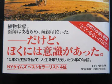 ゴースト・ボーイ』