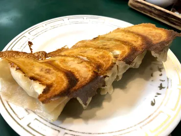 ジョブチューン 】大阪王将ランキングTOP10の合格・不合格ジャッジ採点まとめ・審査員のお店を紹介『メニュートップ10を超一流料理人が採点』