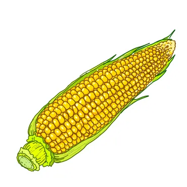 焼肉きんぐの爆食コーンガールは柚木えりなさん？【ウワサのお客さま】 