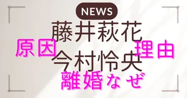 藤井萩花と今村怜央がなぜ離婚？その理由と原因を徹底解説 