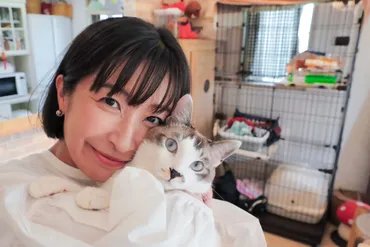 【キャッツベスト特別インタビュー】保護猫たちとの出会いと保護活動への想い
