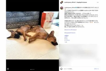 BE:FIRST』三山凌輝、保護犬迎え入れ゛動物好き゛をアピールも「生まれたばかりなのに」出産直後の゛自覚ナシ゛行動に厳しい指摘 