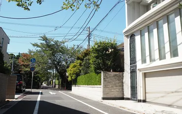 成城高級住宅街：芸能人が愛する街の秘密とは？成城の豪邸と芸能人の暮らし