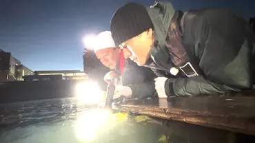 城島茂、森本慎太郎「DASH海岸」でめずらしい生き物と遭遇