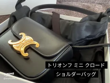 誕生日プレゼントで手に入れたルイ・ヴィトンのバッグ開封動画