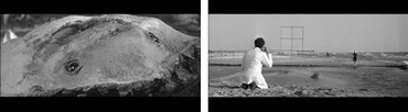 No.058 コミュニケーションの不可能性と距離の映画学―フェデリコ・フェリーニ『甘い生活』 