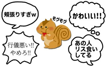 口いっぱいに食べる「リス食い」はかわいい?女性と男性の心理や直し方について徹底解説!