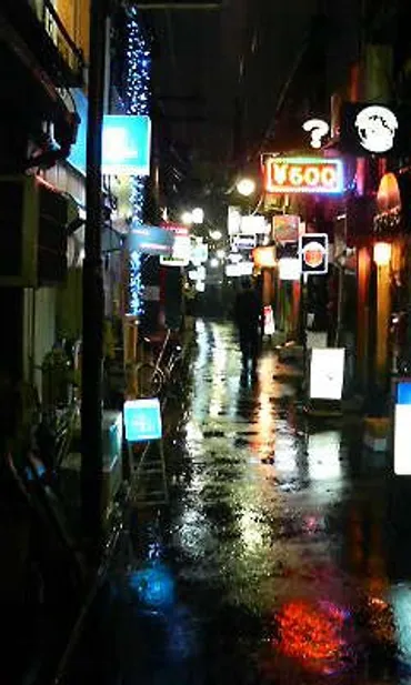 新宿区歌舞伎町(1)、新宿ゴールデン街 : 散歩と旅ときどき温泉